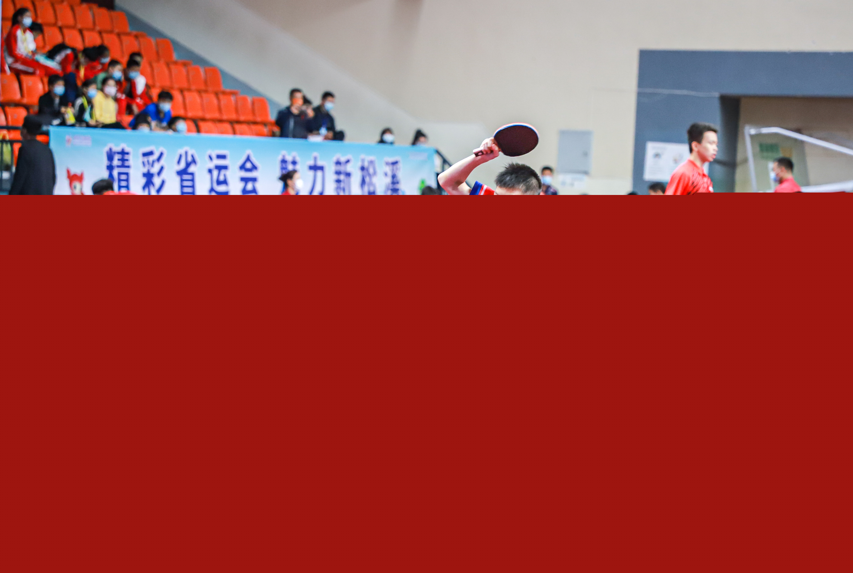 全红婵的经